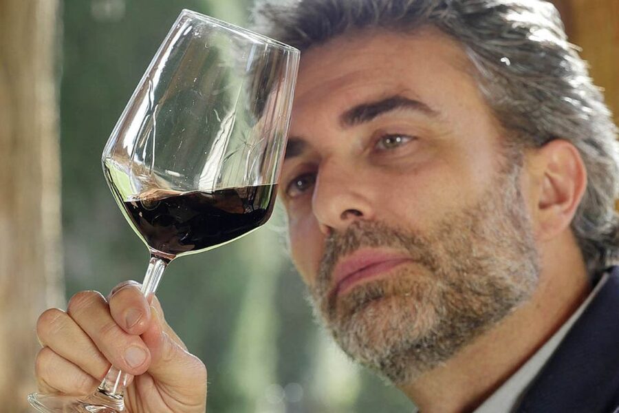 Bolgheri: Winery Tour with Wine Tasting - Who should book this Bolgheri winery tour (and who should think twice)