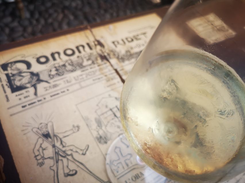 Bologna: City Center Guided Wine Walking Tour - A Bologna Wine Walk That Fits Real Travel Time