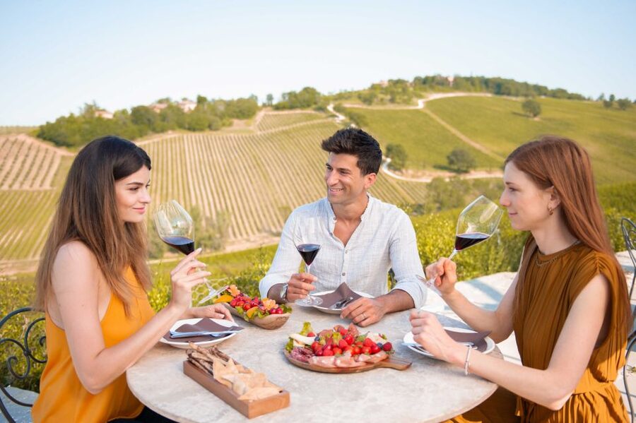 Bologna: Olive Grove and Vineyard Tour with Product Tastings - Key reasons this farm tour works
