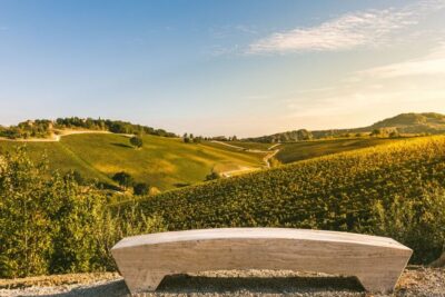 Bologna: Olive Grove and Vineyard Tour with Product Tastings - The tastings: wine, olive oil, and local pairings that make you pay attention