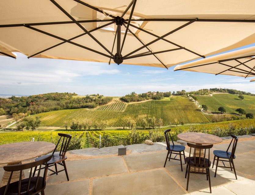 Bologna: Olive Grove and Vineyard Tour with Product Tastings - Duration and value: why $20 for 1–1.5 hours can be a smart move