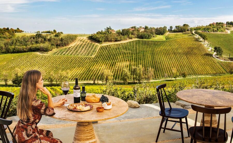 Bologna: Olive Grove and Vineyard Tour with Product Tastings - Who this tour suits best (and who might not love it)