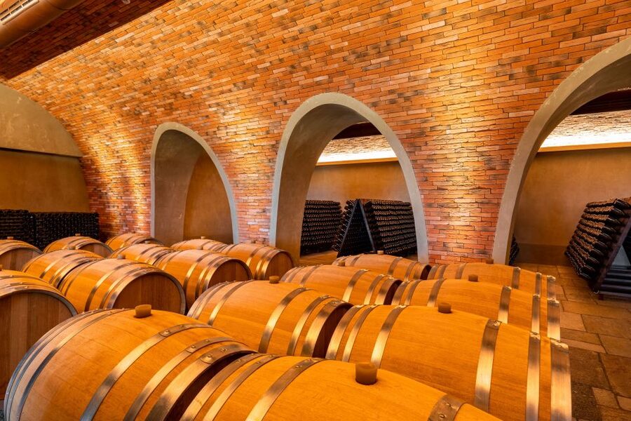 Bologna: Olive Grove and Vineyard Tour with Product Tastings - Should you book this Bologna olive grove and vineyard tour?