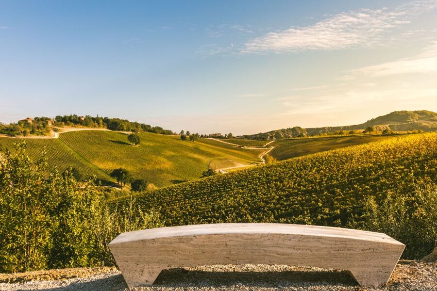 Bologna: Olive Grove and Vineyard Tour with Product Tastings - The tastings: wine, olive oil, and local pairings that make you pay attention