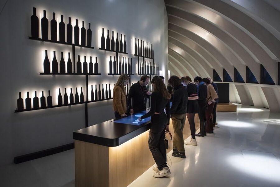 Bordeaux: Cité du Vin Entry Ticket and Wine Tasting - Who this ticket suits best