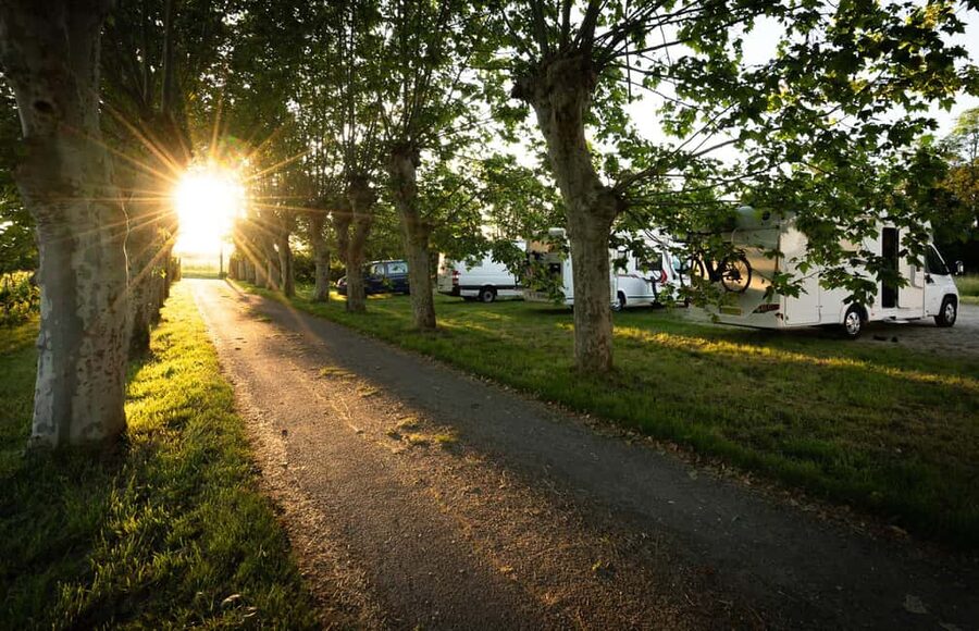 Bordeaux: Explore an Organic Family Vineyard with Tasting - Should you book this Pestoury Vineyard organic tasting?