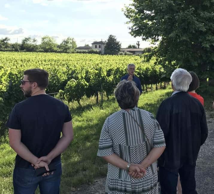 Bordeaux: Explore an Organic Family Vineyard with Tasting - Inside the cellar: fermentation, barrels, and the timing story