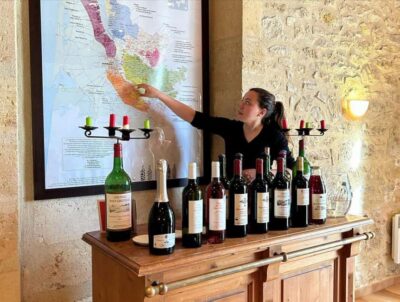 Bordeaux: Explore an Organic Family Vineyard with Tasting - Walking the vines: how organic choices show up in the vineyard
