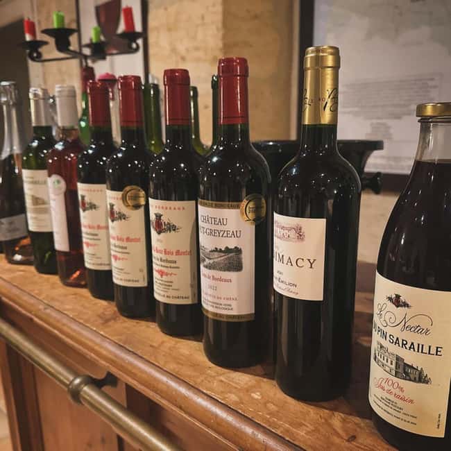 Bordeaux: Explore an Organic Family Vineyard with Tasting - Who this 90-minute vineyard tour fits best