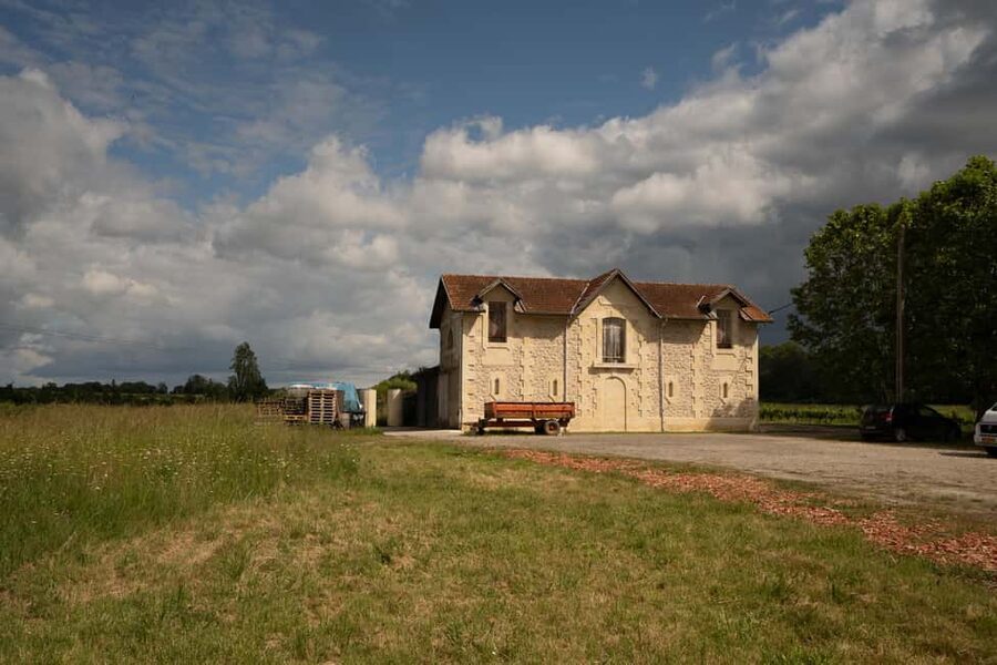 Bordeaux: Explore an Organic Family Vineyard with Tasting - Value check: what $21 really buys you in Bordeaux