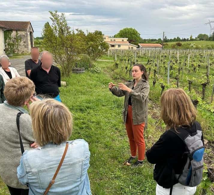 Bordeaux: Explore an Organic Family Vineyard with Tasting - Getting there from central Bordeaux without stress