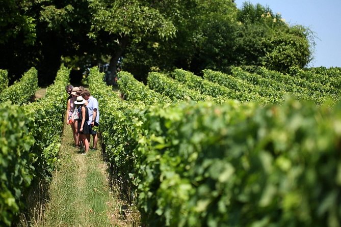 Bordeaux Full day Medoc and St Emilion 3 chateaux with Lunch - Small Group Size and English-Only Guidance