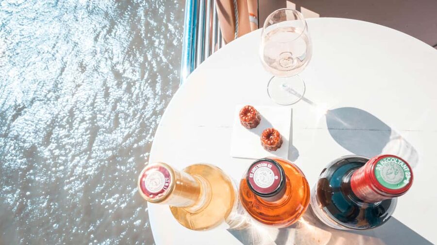 Bordeaux: Guided Wine and Canelé Discovery Cruise - Who should book this cruise?
