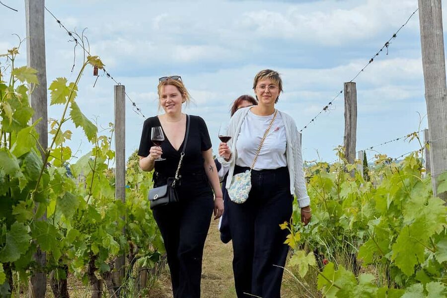 Bordeaux: Half-Day Margaux Tour with Wine Tastings - Should You Book This Margaux Half-Day Wine Tour?
