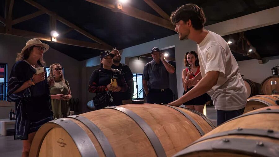 Bordeaux: Half-Day Margaux Tour with Wine Tastings - Getting Out of Bordeaux: Comfortable Ride Into the Médoc