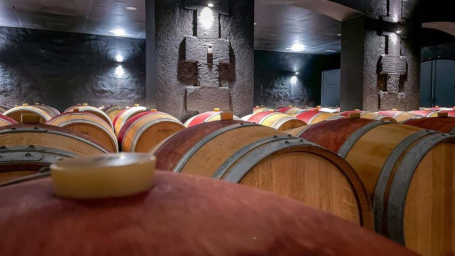 Bordeaux: Saint-Emilion and Medoc Full-Day Wine Experience - Key highlights you’ll feel right away