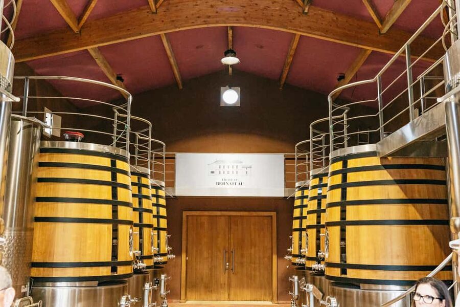 Bordeaux: St. Emilion Day Trip with Wine Tasting and Lunch - Stop Two: Second Winery Tasting (The Best Way to Spot Differences)