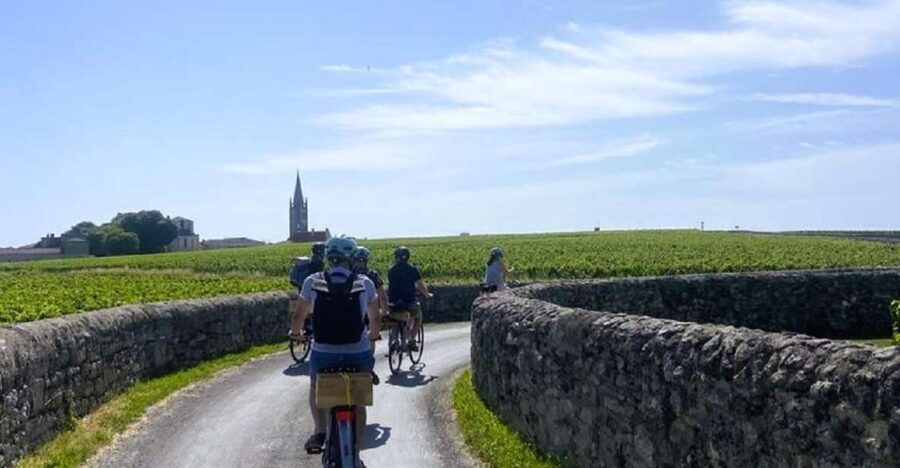 Bordeaux: St-Emilion Vineyards e-Bike Tour with Wine & Lunch - The Vineyards on an E-Bike: Where the Views Actually Happen