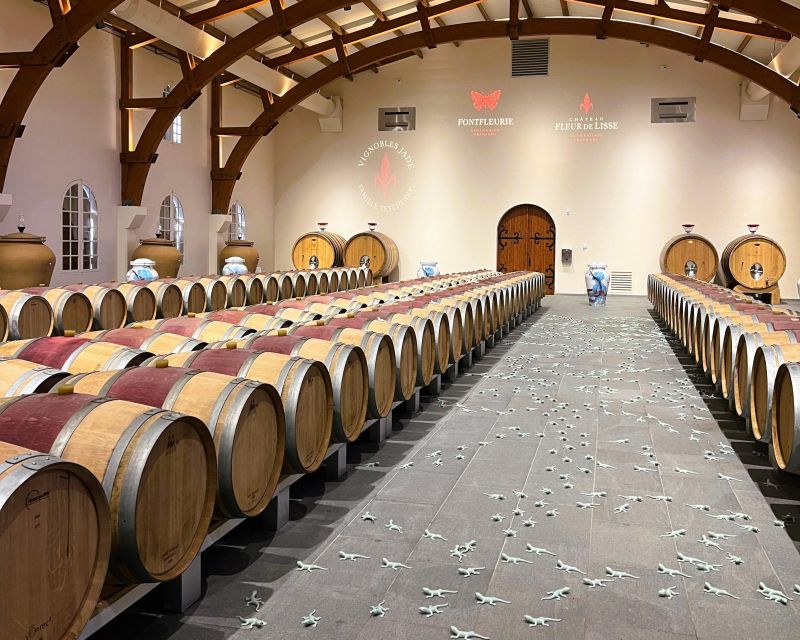 Bordeaux: St-Emilion Vineyards e-Bike Tour with Wine & Lunch - Second Château Visit: From Vine to Bottle Guided Tour