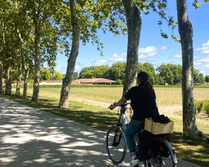 Bordeaux: St-Emilion Vineyards e-Bike Tour with Wine & Lunch - Price and What You’re Actually Buying for $222