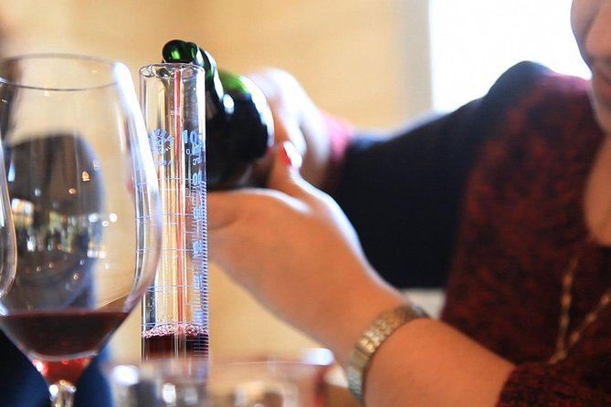 Bordeaux Super Saver Wine Tasting class and St Emilion region - Bordeaux and St-Émilion in One Day: The Setup That Makes It Click