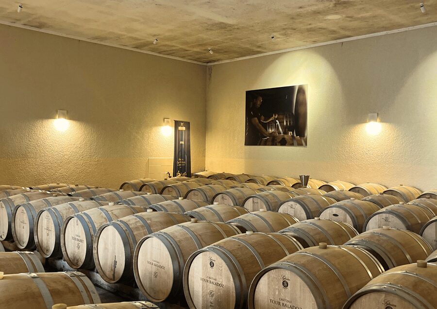 Bordeaux : Unforgettable Saint Emilion Half Day Wine Tour - Bordeaux to Saint-Émilion in 5 hours: the vibe and the value