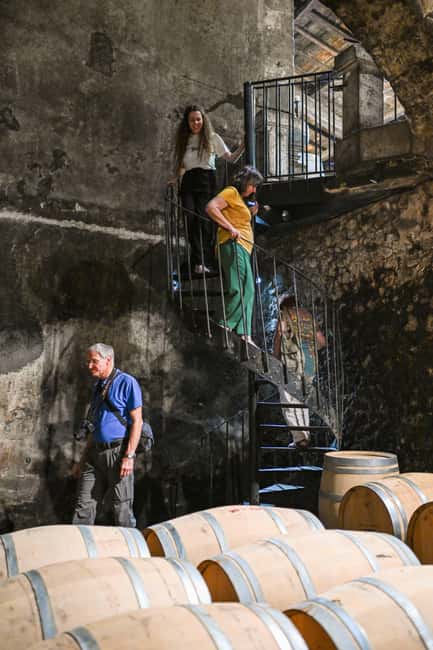 Bordeaux: Vineyards Wine Tasting Half-Day Trip - Inside the Châteaux: What Those 1-Hour Tours Are Really Like