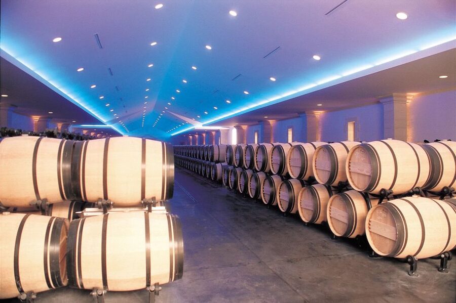 Bordeaux: Vineyards Wine Tasting Half-Day Trip - Wine Tasting Reality Check: Small Pours, Big Context