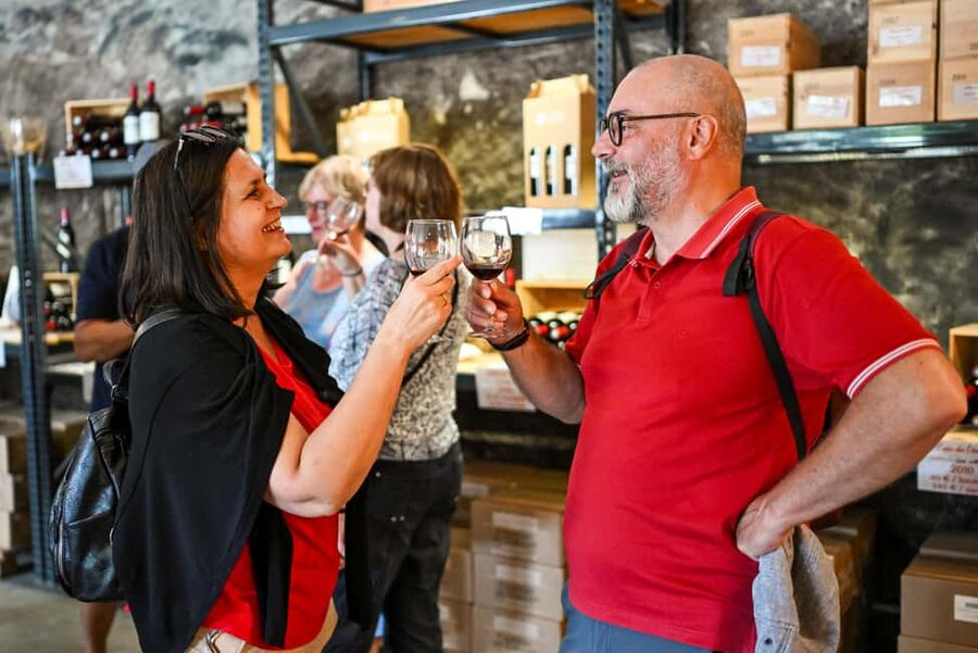 Bordeaux: Vineyards Wine Tasting Half-Day Trip - Bus Comfort, Language Flow, and Timing Details You’ll Care About