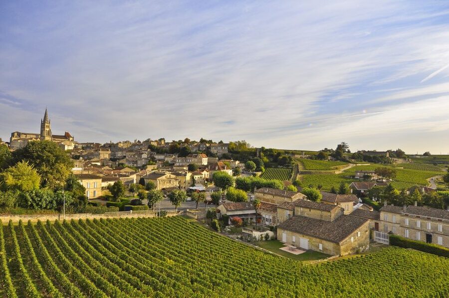 Bordeaux: Vineyards Wine Tasting Half-Day Trip - What This Trip Is Best For (and Who Should Choose Another Option)