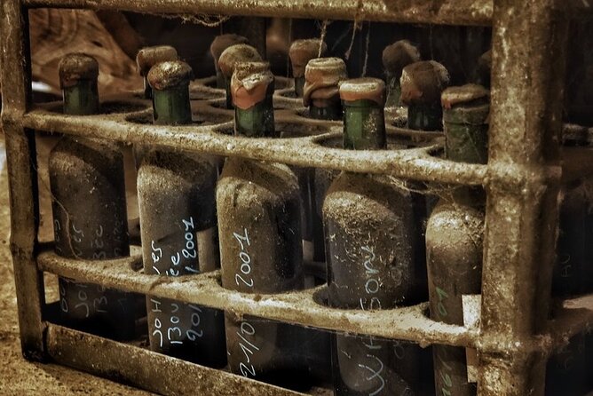 Bordeaux Wine and Trade Museum Admission Ticket with Wine Tasting - Who this Bordeaux wine and trade museum experience suits best