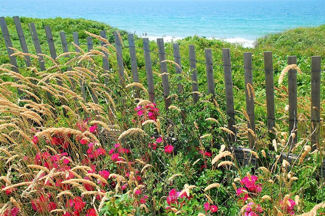 Boston to Martha's Vineyard Day Trip with Optional Island Tour - Buying the 3-hour island tour upgrade: what changes your day