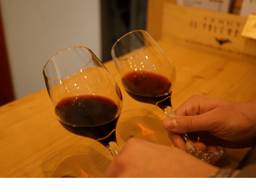 Boutique Wine Tasting in Turin City Center - FAQ