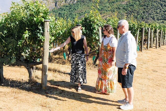 Boutique Wine Tour - visit Central Otago, 4 Wineries & Lunch - Stop 4 in Cromwell: second tasting in a new wine mood