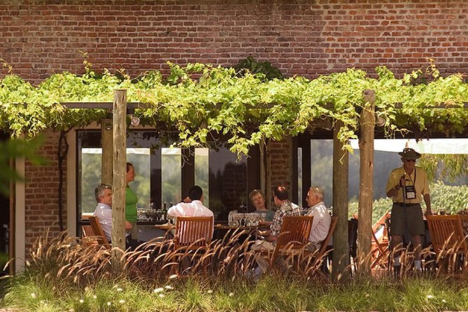 Bouza Winery Tastings and Tapas (Esp, Eng, Port) - Price and value: what $95 really covers (and what costs extra)