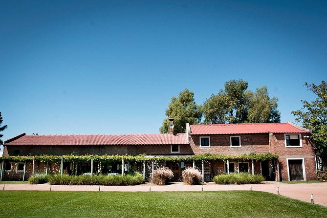 Bouza Winery Tastings and Tapas (Esp, Eng, Port) - Bouza Vinos Garage: four tastings matched to tapas snacks