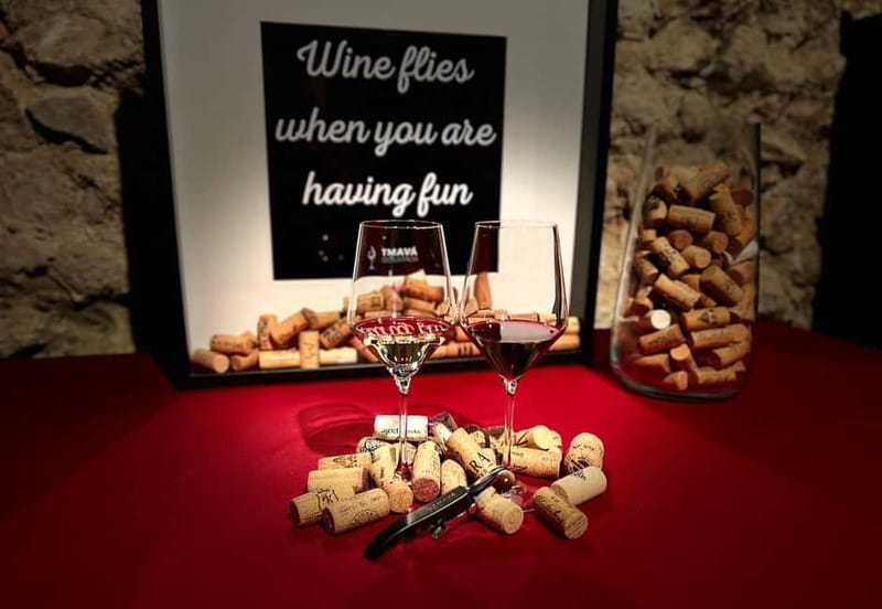 Bratislava: Wine Tasting Experience in the Dark - Finding Tmavá Degustácia near Michalská 3