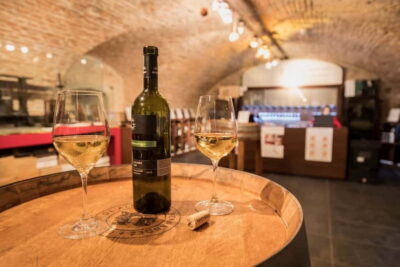 Bratislava: Wine Tasting with Sommelier - The Slovak National Collection of Wines: what makes it different