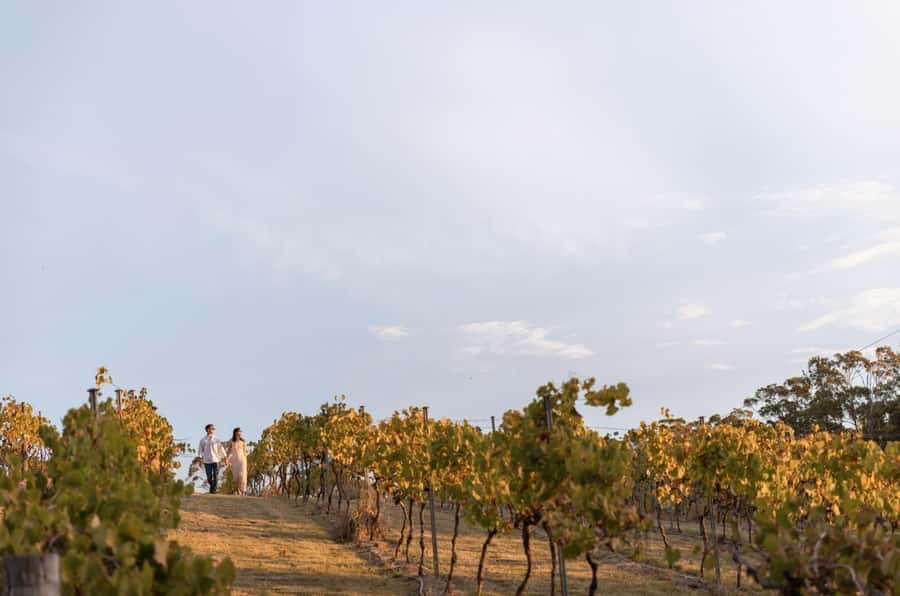 Brisbane: Sirromet Winery Tour with Tasting & 2-Course Lunch - Common hiccups to plan around: peak crowds and lunch logistics