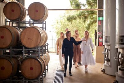 Brisbane: Sirromet Winery Tour with Tasting & 2-Course Lunch - The 45-minute guided winery tour: see the process, not just the brochure