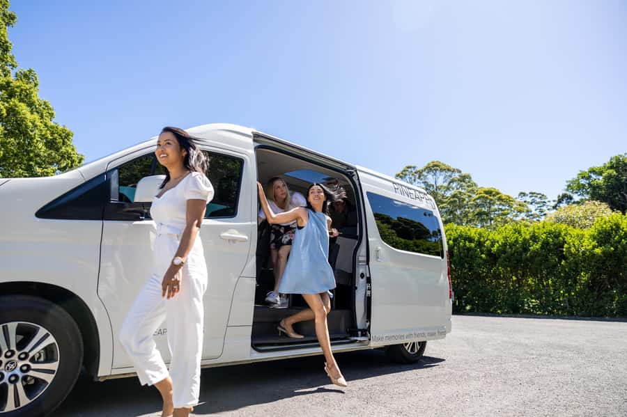 Brisbane: Tamborine Mountain Local Winery Tour with Lunch - Cedar Creek Winery: First Tastings and the History Intro