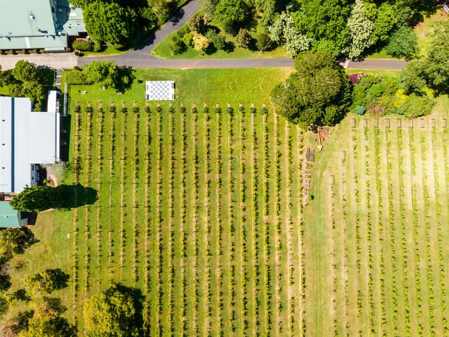 Brisbane: Tamborine Mountain Local Winery Tour with Lunch - Hampton Estate Winery: Two-Course Lunch Plus Another Tasting