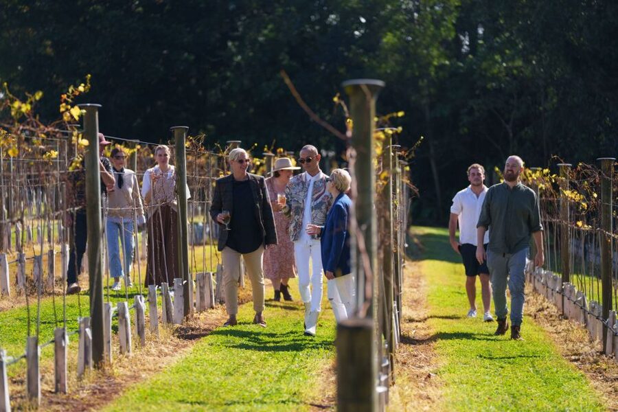 Brisbane: Tamborine Wine & Distillery Tour - Gallery Walk free time: browsing, snacks, and self-chosen lunch
