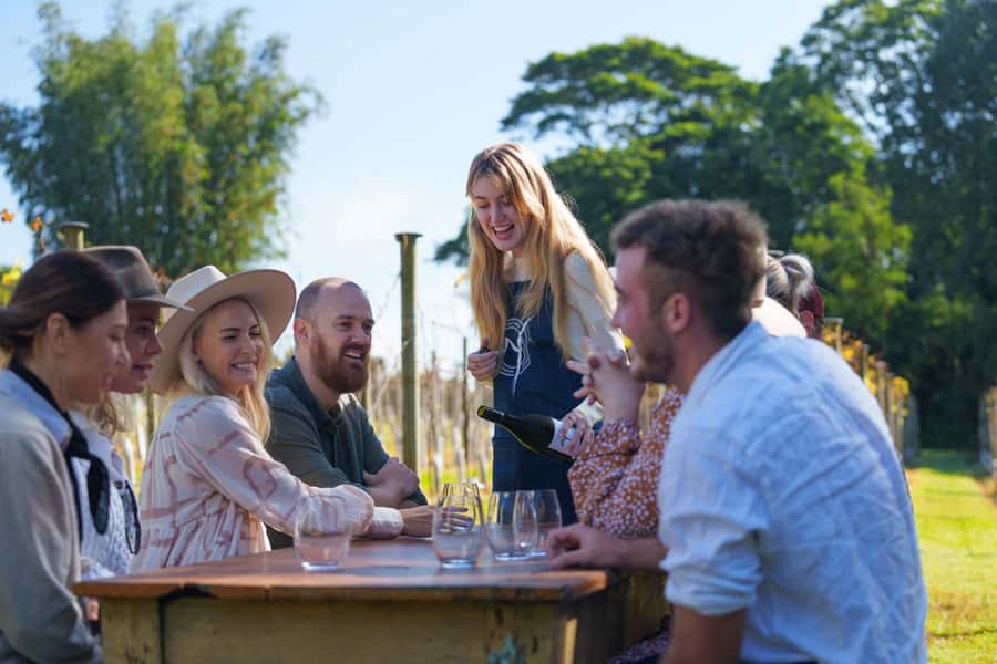 Brisbane: Tamborine Wine & Distillery Tour - The Vino Bus ride: comfort, views, and a smooth start