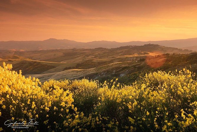 Brunello Wine Tour and Val D'Orcia Landscape - Price and value: is $266.51 worth it?