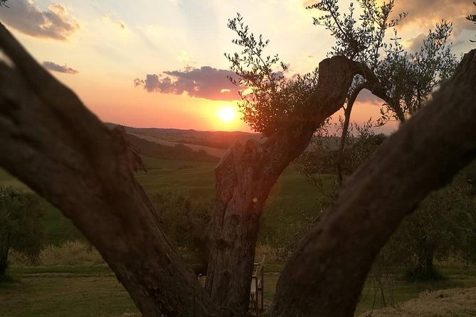 Brunello Wine Tour and Val D'Orcia Landscape - Behind-the-scenes Brunello tasting: what you’re paying for