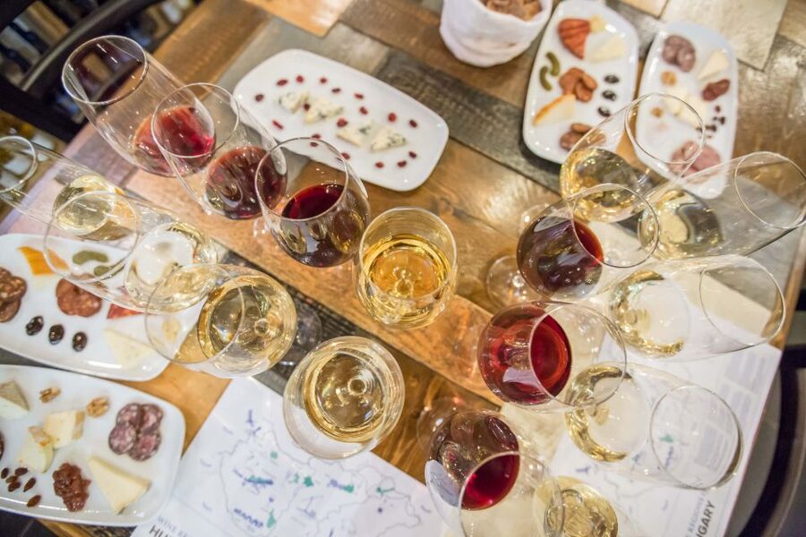 Budapest: Essentials of Hungarian Wine Tasting Class - Budapest wine tasting basics: where you’ll go and what it feels like