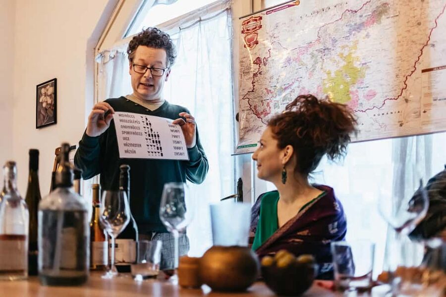 Budapest: Hungarian Wine Tasting with 7 Wines and Tapas - Wine Regions, History, and a Guide Who Keeps It Practical