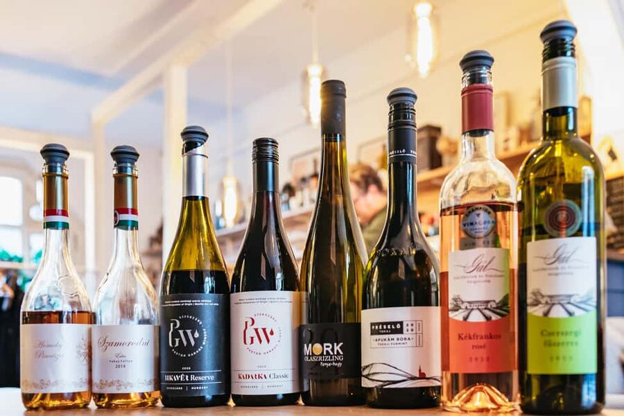 Budapest: Hungarian Wine Tasting with 7 Wines and Tapas - Who This Hungarian Wine Tasting Fits Best