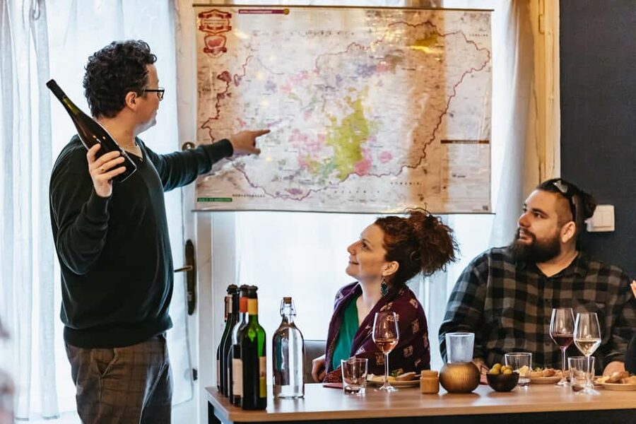 Budapest: Hungarian Wine Tasting with 8 Wines and Tapas - Red wines that really teach: furmint, kadarka, Bull’s Blood